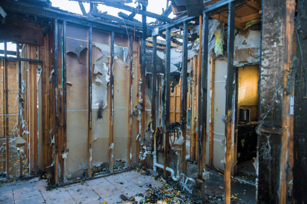 Professional Fire Damage Restoration technician working in Bellevue, NE